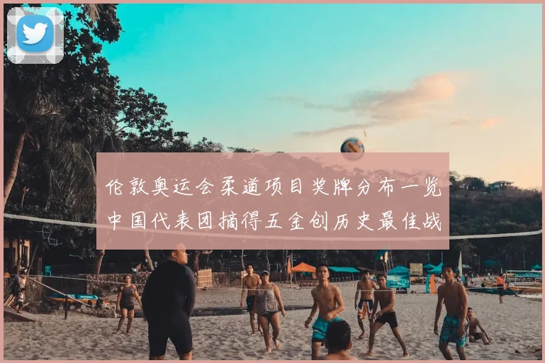 伦敦奥运会柔道项目奖牌分布一览中国代表团摘得五金创历史最佳战绩